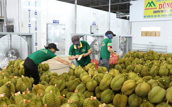 Fruit and vegetable exports skyrocket by 53.1% in February